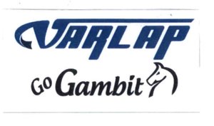 Trademark VARLAP GO GAMBIT