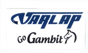 Trademark VARLAP GO GAMBIT