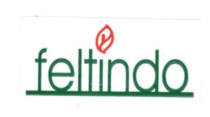 Trademark FELTINDO