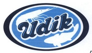 Trademark UDIK + LOGO