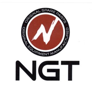 Trademark NGT+ LOGO