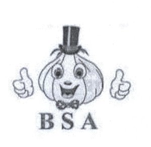 Trademark BSA