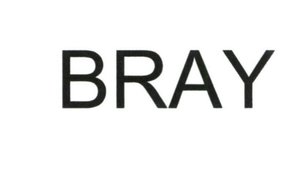 Trademark BRAY