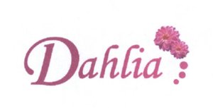 Trademark Dahlia