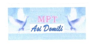 Trademark MPT ASI DOMILI