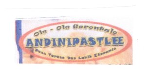 Trademark ANDINI PASTLEE