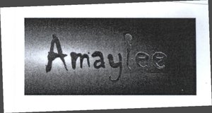 Trademark AMAYLEE