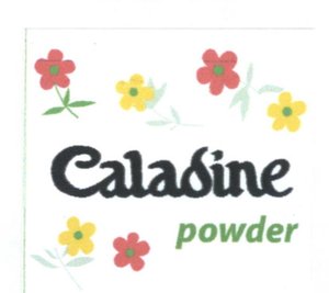 Trademark CALADINE POWDER