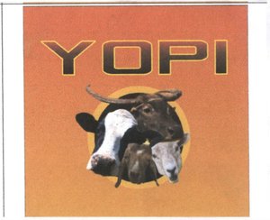 Trademark Yopi