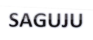 Trademark SAGUJU