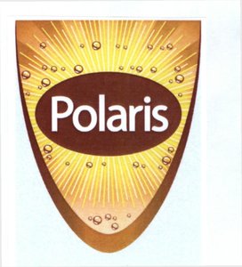 Trademark POLARIS