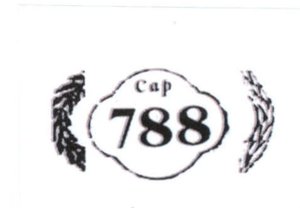 Trademark Cap 788