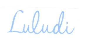 Trademark Luludi