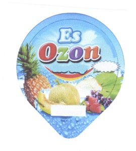 Trademark OZON + Logo