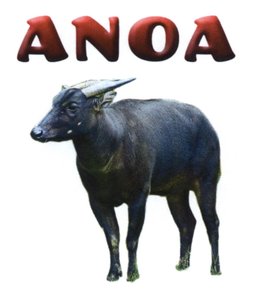 Trademark ANOA & DEVICE