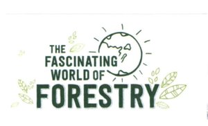 Trademark THE FASCINATING WORLD OF FORESTRY