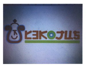 Trademark TEKOJUS + LOGO