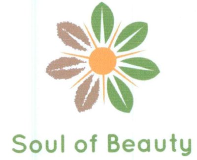 Trademark SOUL OF BEAUTY + LOGO