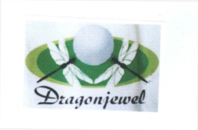 Trademark DRAGONJEWEL + LOGO