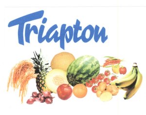 Trademark TRIAPTON + lukisan