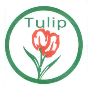 Trademark TULIP