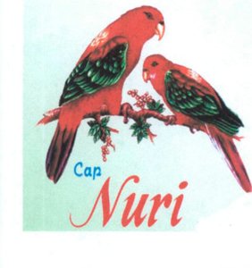 Trademark CAP NURI + LOGO