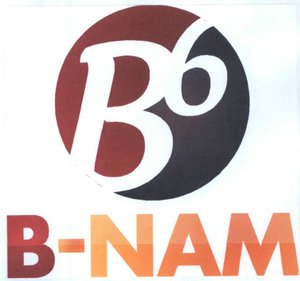 Trademark B-NAM + LOGO