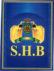 Trademark SHB + LOGO