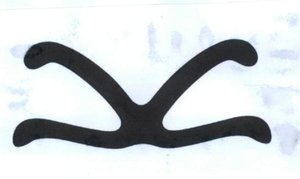 Trademark Logo C (CARVIL)