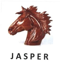 Trademark JASPER + LOGO