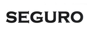 Trademark SEGURO