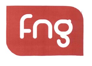 Trademark LOGO FNG