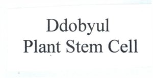 Trademark Ddobyul Plant StemCell