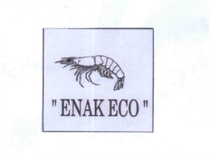 Trademark ENAK ECO