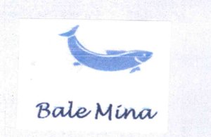 Trademark Bale Mina