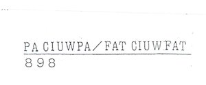 Trademark PA CIUWPA/FAT CIUWFAT 898