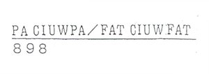 Trademark PA CIUWPA/FAT CIUWFAT 898