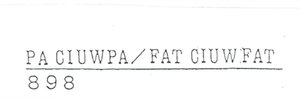 Trademark PA CIUWPA/FAT CIUWFAT 898