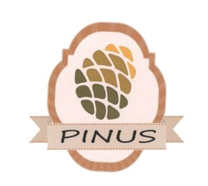 Trademark PINUS