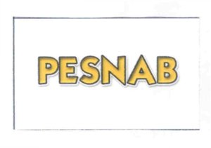 Trademark PESNAB