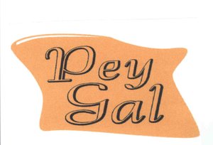 Trademark PEYGAL