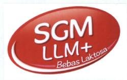 Trademark SGM LLM +