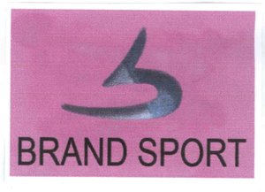 Trademark BRAND SPORT + Logo