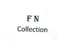 Trademark FN Collection