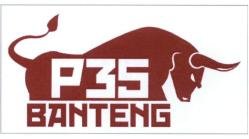 Trademark P35 BANTENG