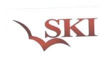 Trademark SKI + Logo