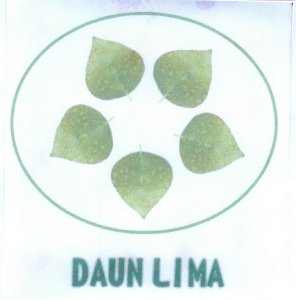 Trademark DAUN LIMA + LUKISAN