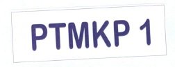 Trademark PTMKP 1