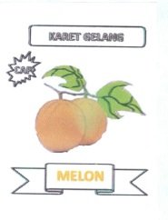 Trademark MELON + LOGO/LUKISAN