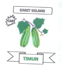 Trademark TIMUN + LOGO/LUKISAN